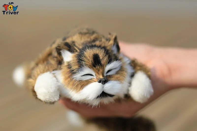 hotelzodiacobolsena site