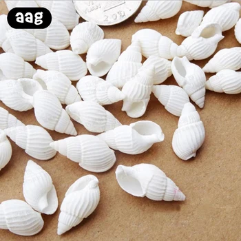 

50/100PCS Natural conch shell Aquarium decoration mini Sea Beach Shell Conch Seashells DIY Crafts for party Home decor white