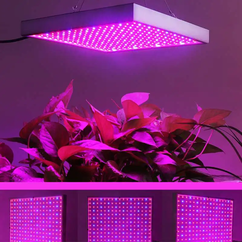 

Waterproof 2009 LEDS LED Grow Light 200W Full Spectrum for IndoorHydroponic Plant Flower LED Grow Light High Yield