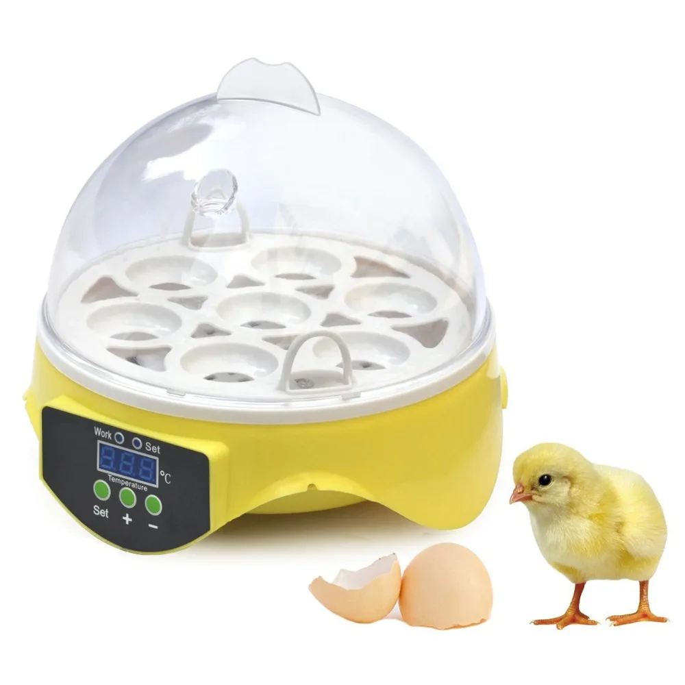 

Cute Mini Egg Incubator Machine Chicken Duck Bird Pigeon Quail Hatchery Hatcher Digital Temperature Controller Quail Incubator