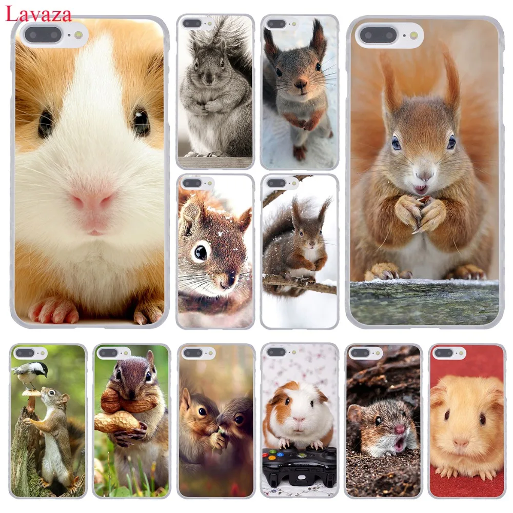 

Lavaza squirrel Guinea Pig Mouse peanut greedy Hard Phone Case for iPhone XR XS X 11 Pro Max 10 7 8 6 6S 5 5S SE 4S 4 Cover