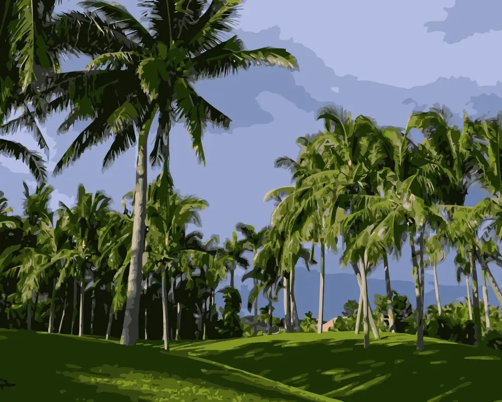 

MaHuaf-i860 Yalong Bay Sanya Hainan Painting by numbers landscape DIY oil digital canvas painting wall pictures for living room