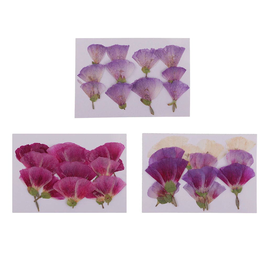 MagiDeal 12x Pressed Real Godetia Flower Dried Flowers DIY Phone Case Scrapbook Craft Artificia Flowers for Wedding Invitations
