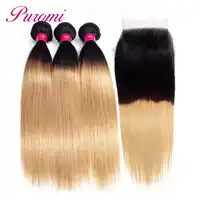 Puromi Ombre Malaysian Straight Hair Bundles With Closure 1b/27 Blonde Human Hair 3 Bundles with Lace Closure Non remy