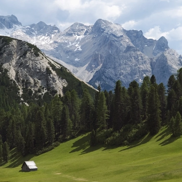 Summer Alpine Meadows And Hut Poster Print (32 x 24)