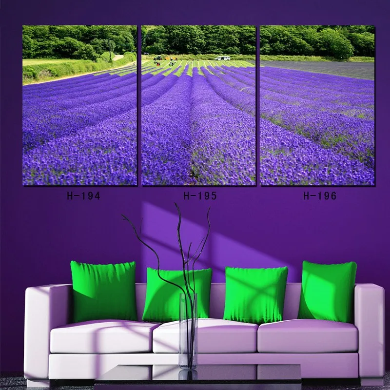 Free Shipping 3 Piece Canvas Wall Art Home Decoration Wall Art