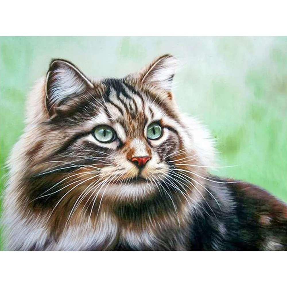 

Diamond Embroidery Cat Animal Pictures Of Rhinestones Diamond Mosaic Diamond Painting Full Square Drill Wall Decor