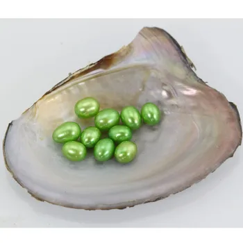 

2018 Wholesale Oyster Pearl aquaculture 20 pcs pearls Genuine Crafts Decoration Cultured Freshwater rice Pearl Farm Supply LO014