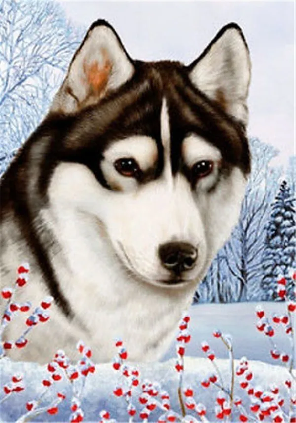 Haucan DIY изображение собаки из страз животное, бриллиант, вышивка продажи квадратные Стразы изображение 5d Алмазная мозаика челнока - Цвет: FV9377