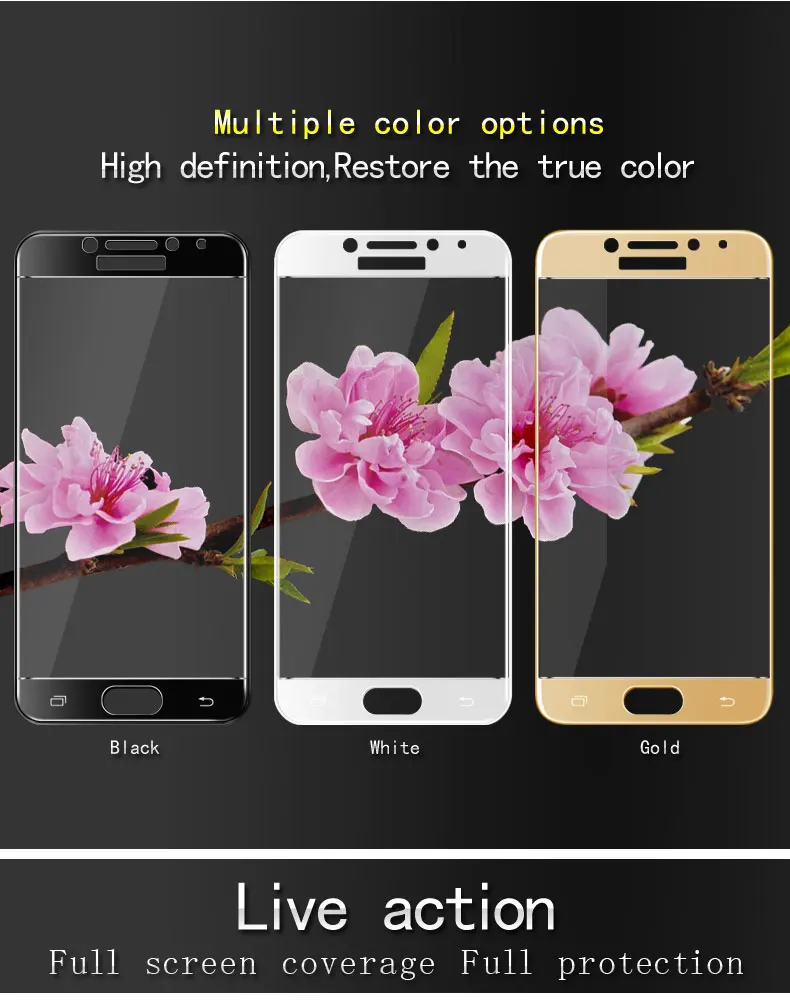 HTB1TCZqQVXXXXXcXpXXq6xXFXXXY