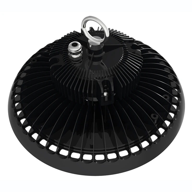 100w 01