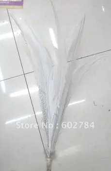 

Free Shipping 100pcs 45-50cm 18-20 inches natural pheasant feather tail Silver pheasant feather tail