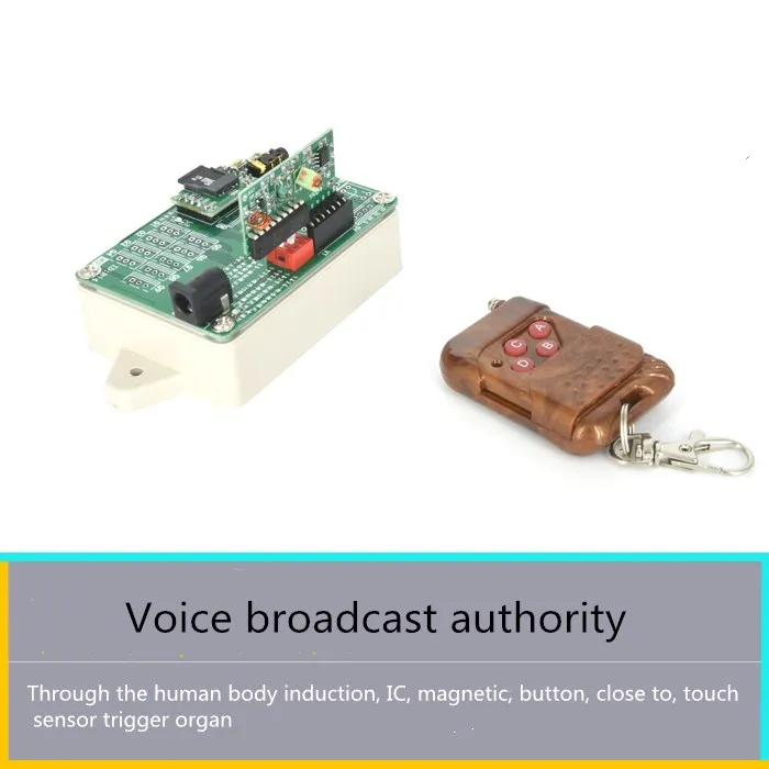 

The chamber of secrets escape props Chamber of organ voice background music player Build atmosphere authority The haunted hous