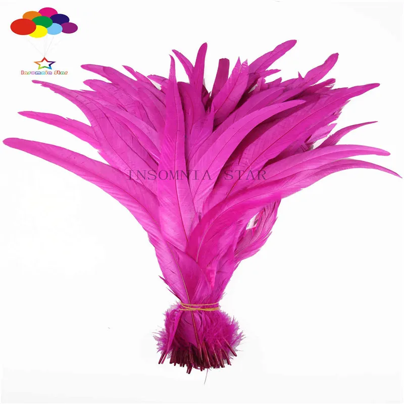 

Z & Q & Y Natural 50 Cock Tail Feather 25-30CM (10-12 inches) Dyed plum red DIY feather clothing decorative cosmetic accessories