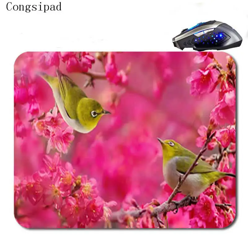 Congsipad красочные Pajaros пользовательские противоскользящие высокой четкости печати