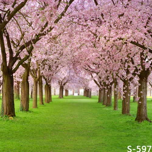 8x8FT Custom Photography Backgrounds Studio Backdrops Spring Light Pink Flowers Trees Tunnel Passage Prints Vinyl 10x10 8x10 | Электроника
