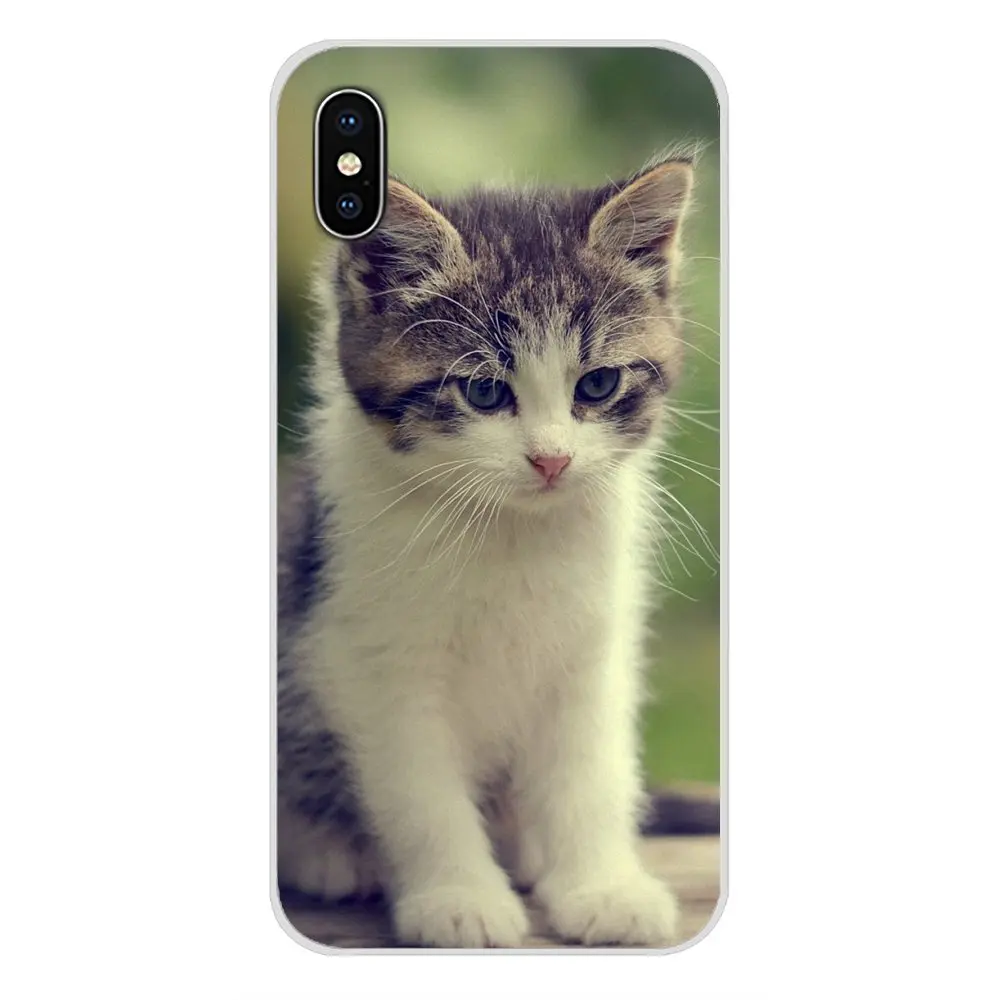 Силиконовые чехлы для телефонов милые молитвенные котята коты Apple iPhone X XR XS MAX 4 4S 5