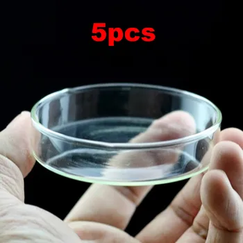 

5pcs Round Aquarium Crystal Red Shrimp Feed Bowl Cup Aquatic Tank Shrimp Crab Snail Fish Food Feeder Dish Container 6cm