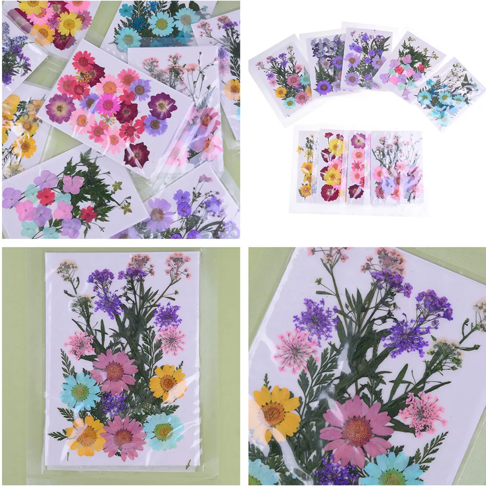 1 Pcs Beautiful Pressed Dried Flower Dry Plants For Epoxy Resin Pendant Necklace Jewelry Making Craft DIY Accessories|Инструменты и