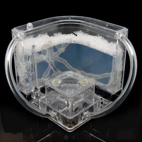 ant-house (8)