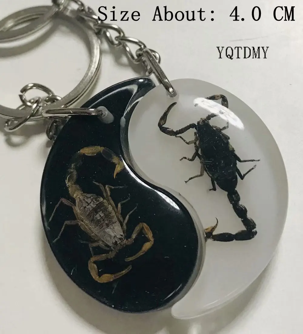 

Free Shipping YQTDMY 12 PCS Golden Black Color Scorpion Specimen Embedded Fashion Taiji Keychain