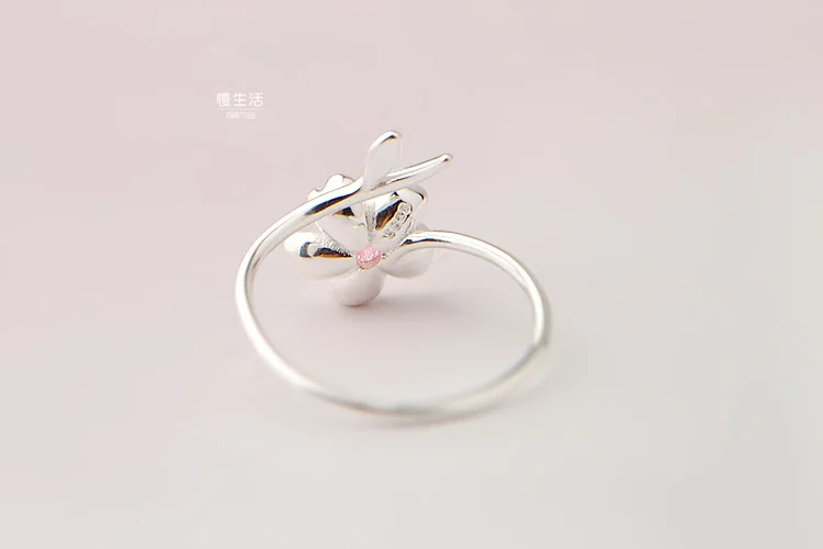 TB2rPfMmYJkpuFjy1zcXXa5FFXa_!!52303710