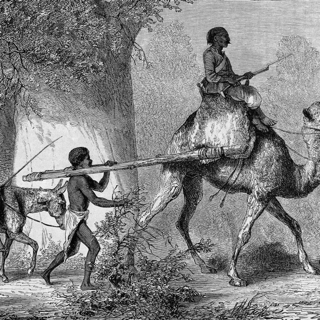 Black Children Led Into Slavery  19th century Poster Print by Science Source (36 x 24)