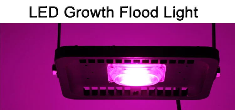 1_01