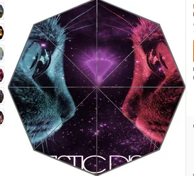 1 (21)