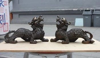 

Pure Bronze Bronze Attract Wealth Coin Brave troops Foo Dog Lion Statue Pair