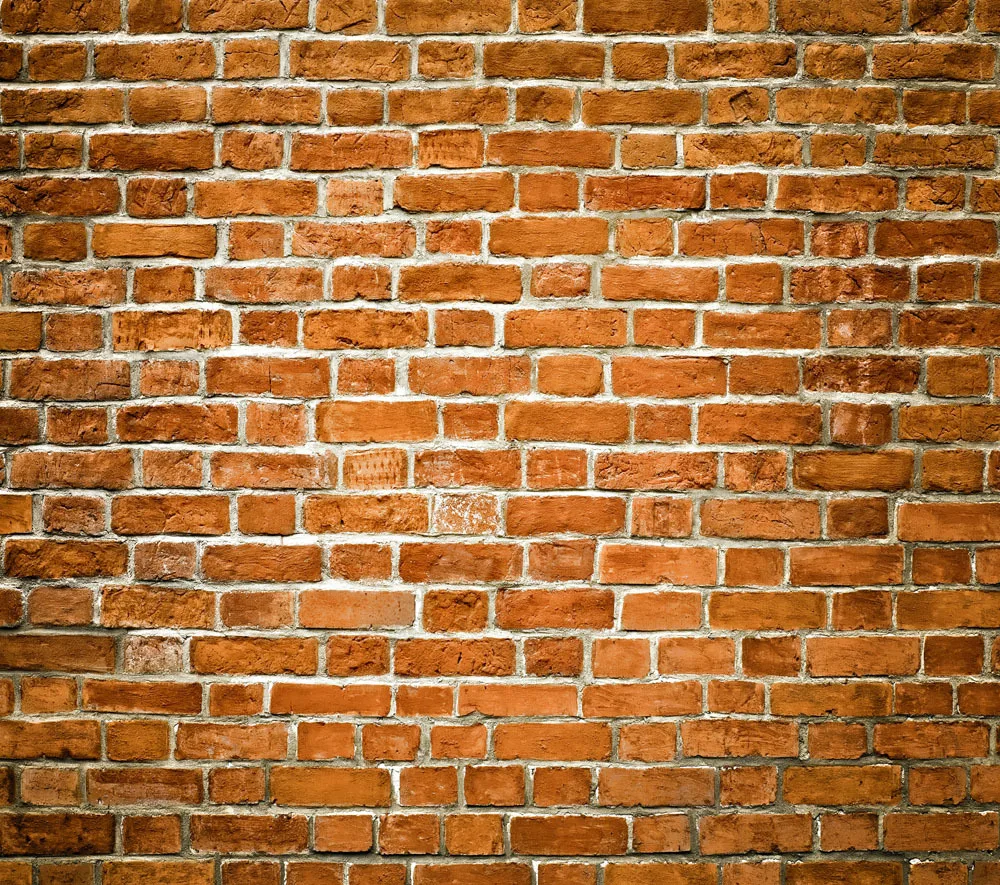 

10X10ft Vinyl Custom Wall Photography Backdrops Studio Props Photography Background TW19