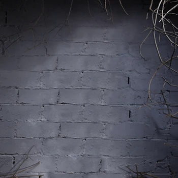 

Personal Portrait Photography Backdrops Vinyl Backgrounds For Photo Studio