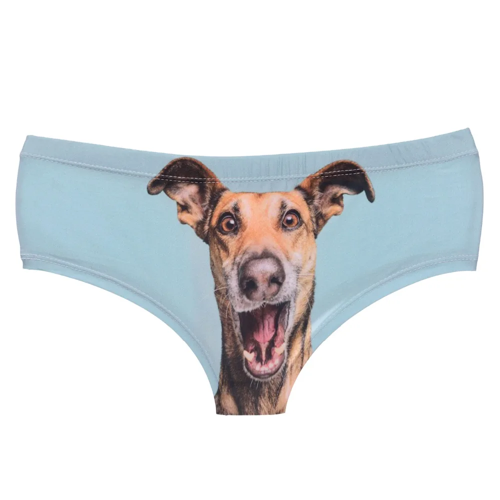 39425 happy dog (4)