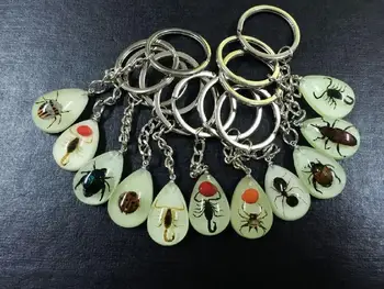 

free shipping 48 pcs insect key ring specimens creative Real mix charming glow keychain