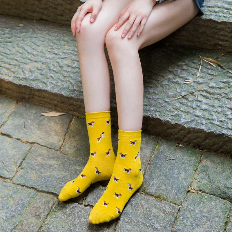 Милые жаккардовые/Растительные принты, художественные носки для женщин, корейские животные/Носки С КАКТУСОМ, забавные носки Kawaii Sokken Bird Dog