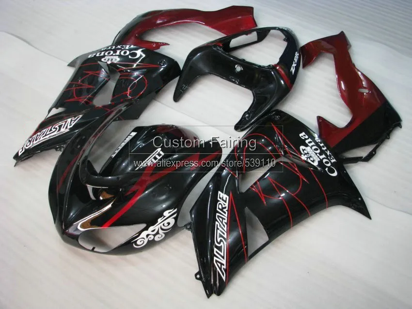 ZX10R-06-255