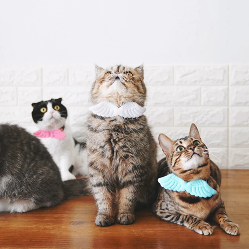 

[MPK Store] Angel Wings Pet Collars, Cat Collar, 4 Colors Available Now