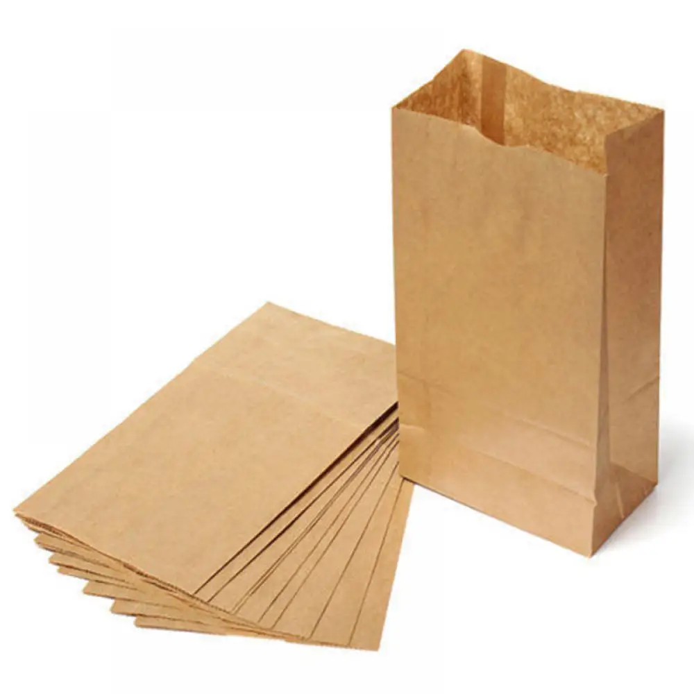 Set of 10 Kraft Paper Small Gift Bags Sandwich Bread Food Bags Party