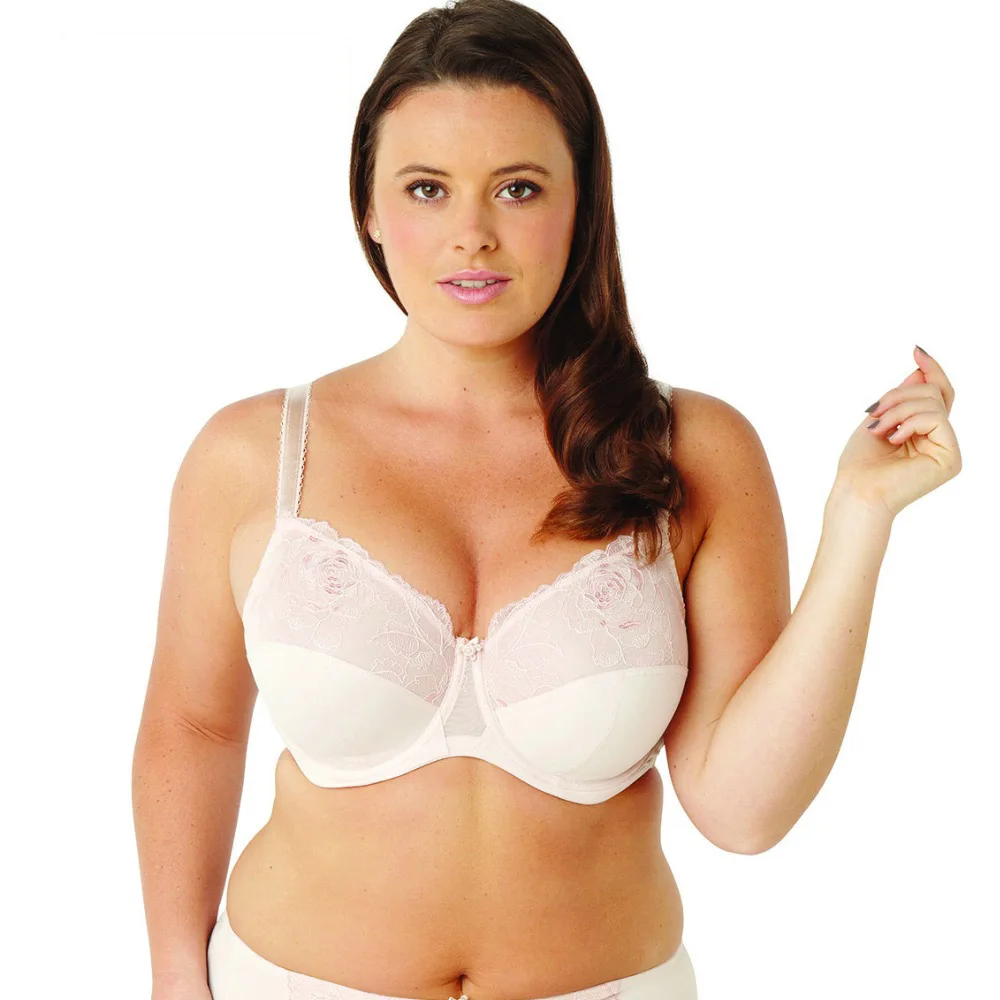 womens large bra size blush full cup bh bralette sexy lace size e bras