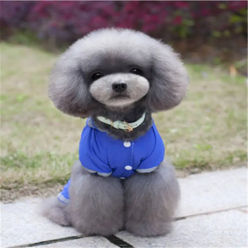 

Dog Raincoat Protection Clothing Summer New Thin Four Feet Raincoat Teddy Pet Dog Clothes For Small Dogs Puppies