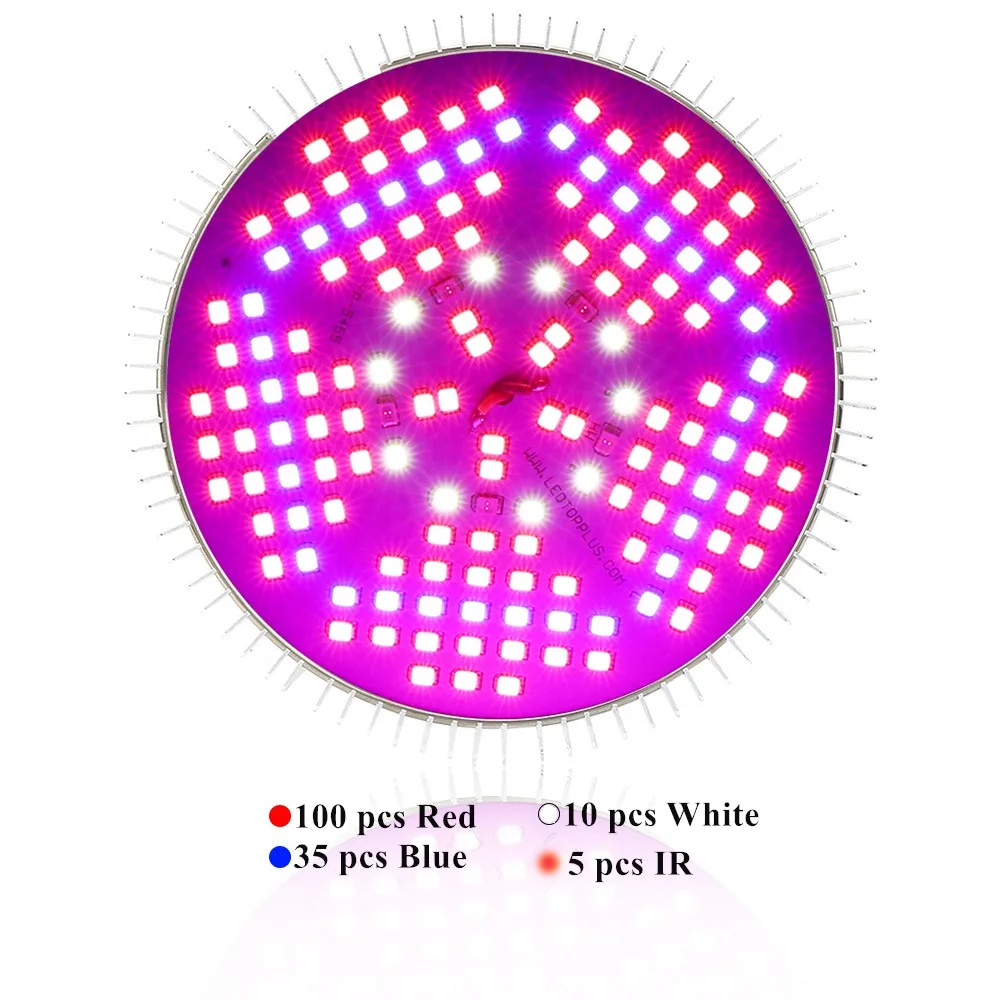 2120