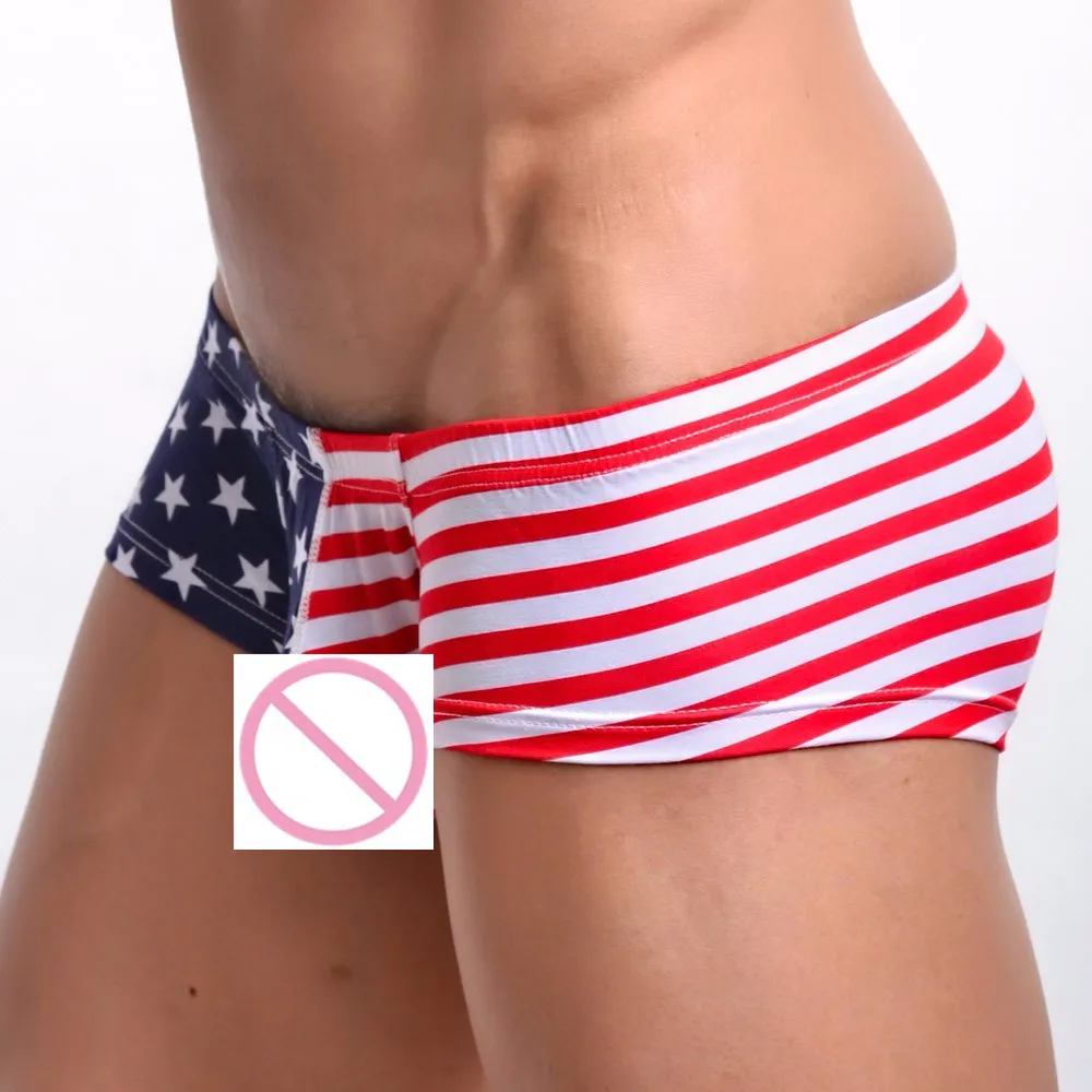 Модный американский флаг сексуальное Полосатое Нижнее белье Мужские шорты трусы с отдельной секцией для пениса для мужчин высокого качества#30