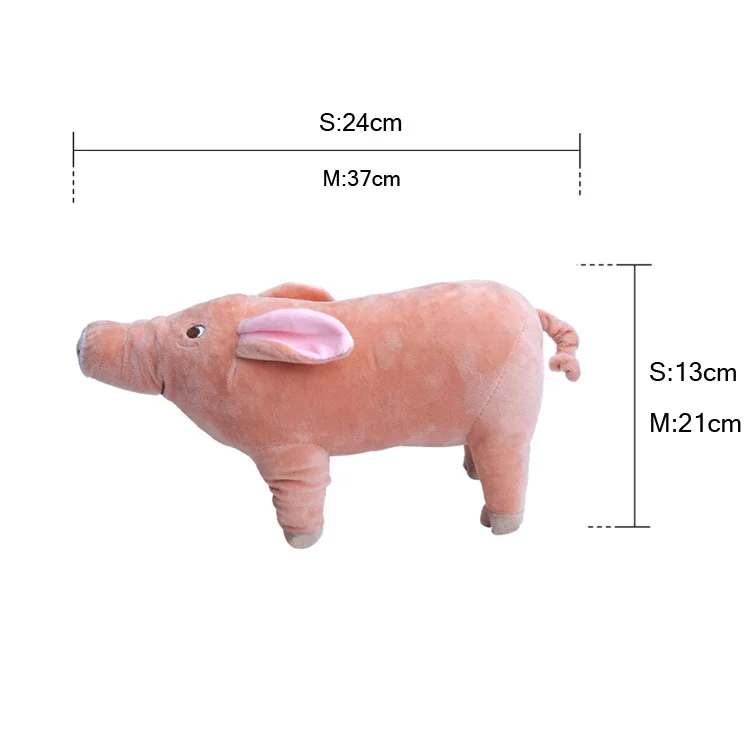 9072132195_973676538