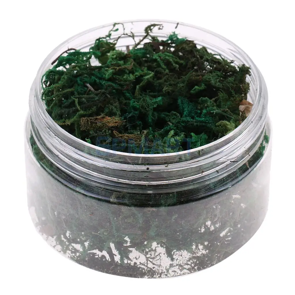 100ML/500ML Dry Grass Model Moss for Layout Terrain Vegetation Diorama Building Toy