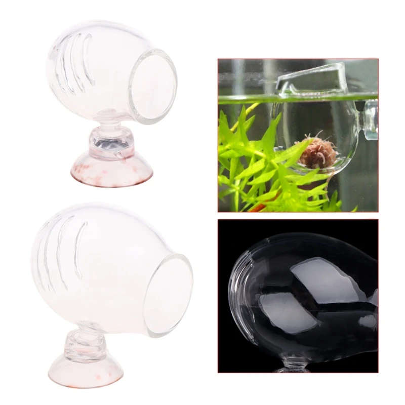 

Glass Feeding Cup Fish Feeder Brine Shrimp Eggs Red Worms Food For Aquarium Transparent