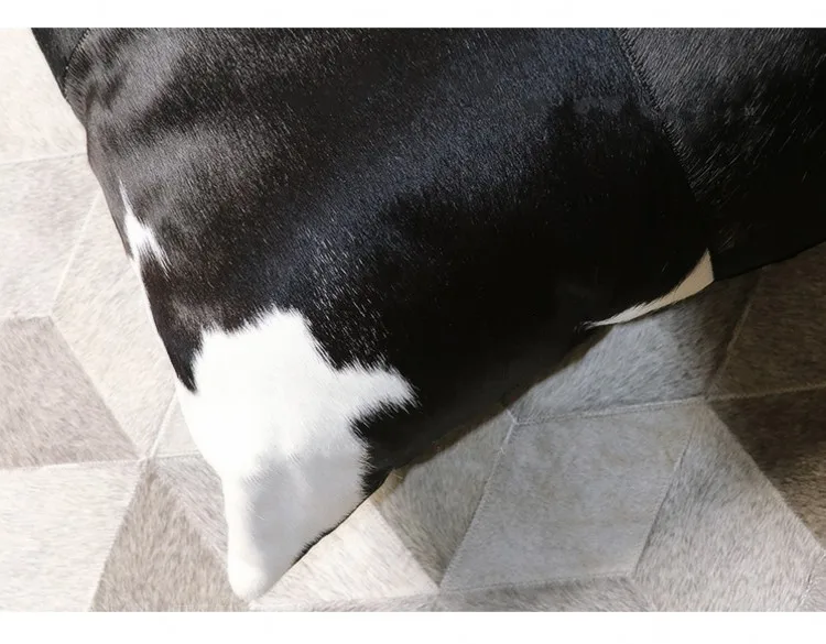 1509_conew2