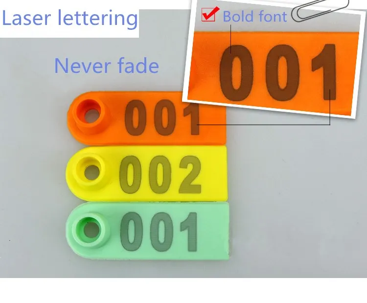 3533917095_1213888955_