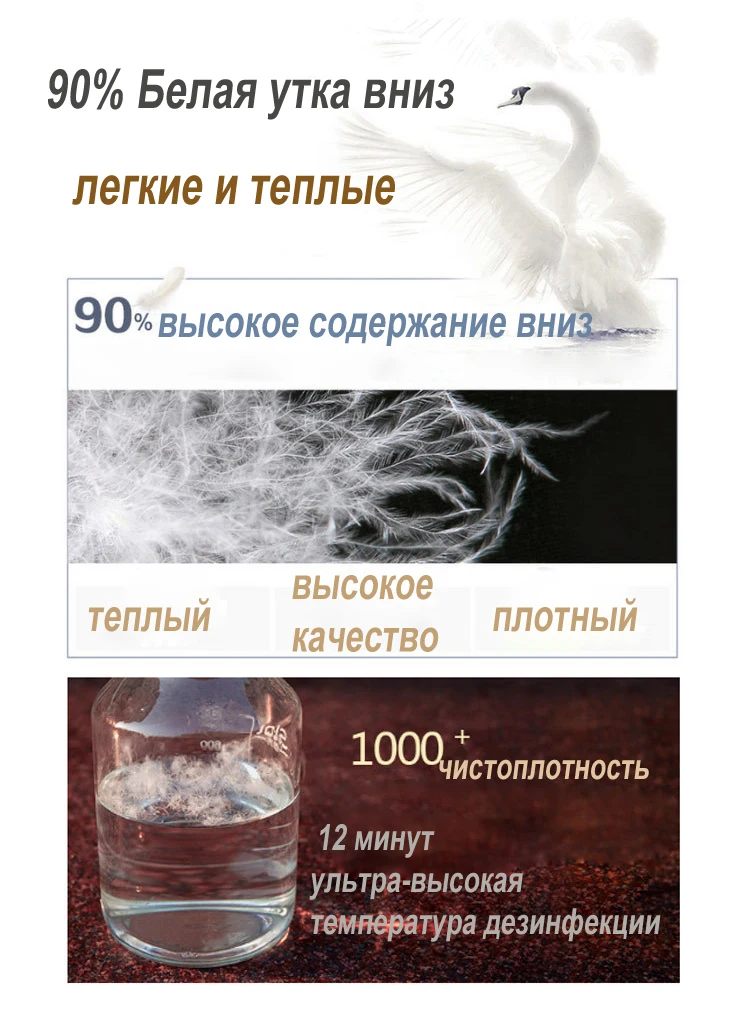 4557934231_1217723510