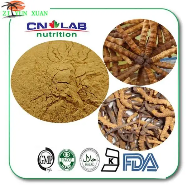 

Free Shipping High potency 1KG Cordyceps sinensis extract Powder /chinese caterpillar fungus extract Powder / cordyceps extract