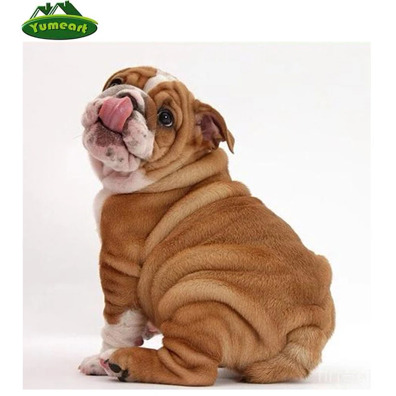 5d Berlian Lukisan Menjahit Cross Stitch Senang Anjing Pug Anjing